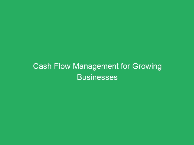 Cash Flow Management for Growing Businesses