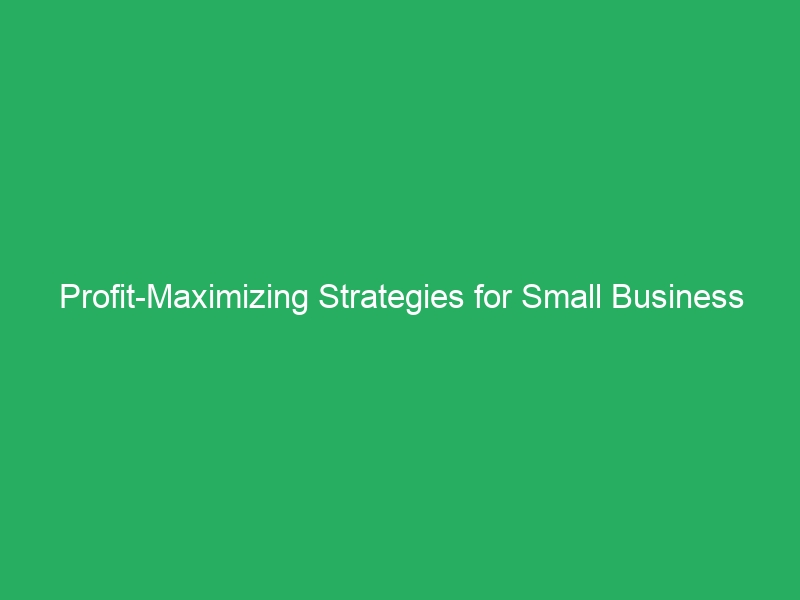 Profit-Maximizing Strategies for Small Business Owners