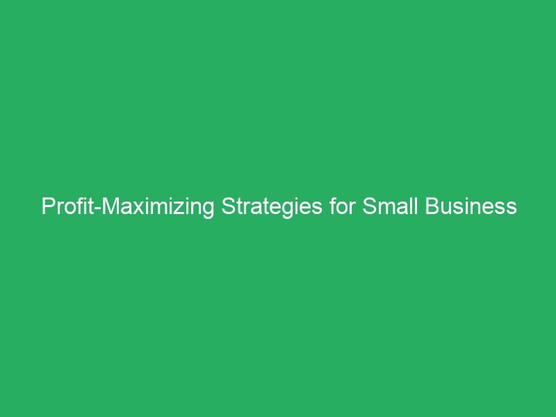 Profit-Maximizing Strategies for Small Business Owners